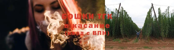 Альфа ПВП Бородино