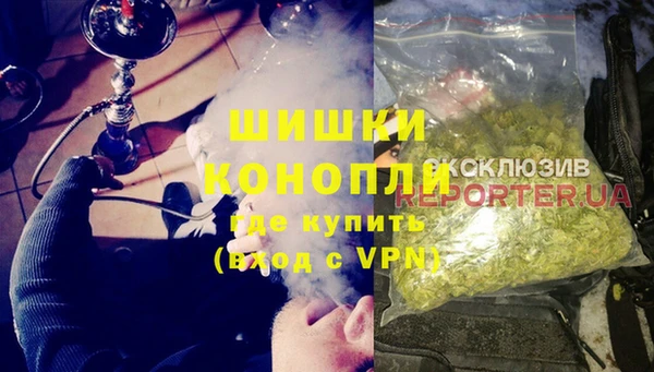 сатива Богородицк