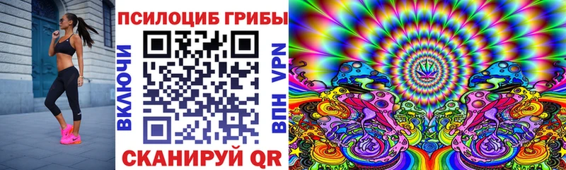 Галлюциногенные грибы MAGIC MUSHROOMS  Купить закладки  Губкинский 