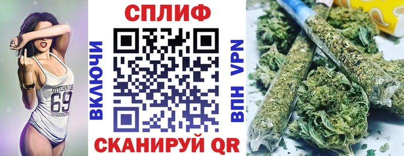 Купить  Губкинский  Бошки Шишки тримм 